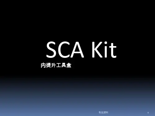 上颌窦内外提升[专家指导]