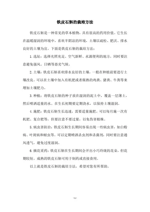 铁皮石斛的栽培方法