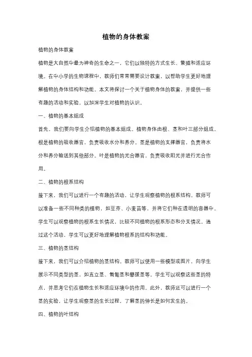植物的身体教案