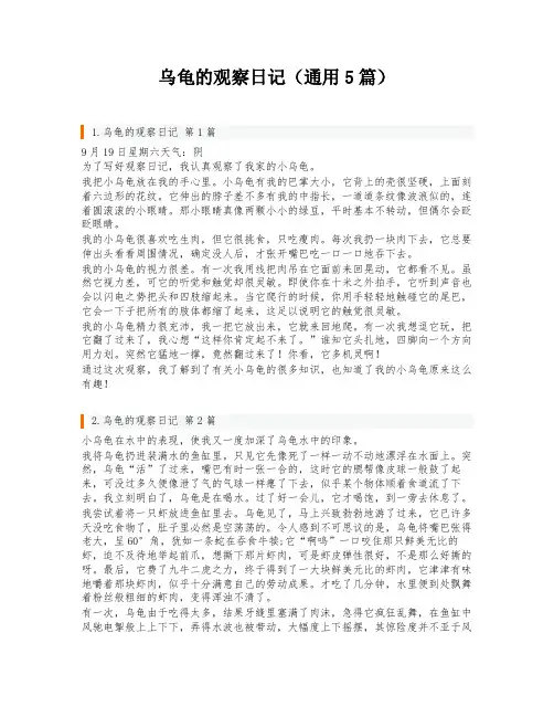 乌龟的观察日记(通用5篇)