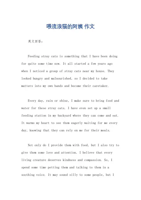 喂流浪猫的阿姨 作文