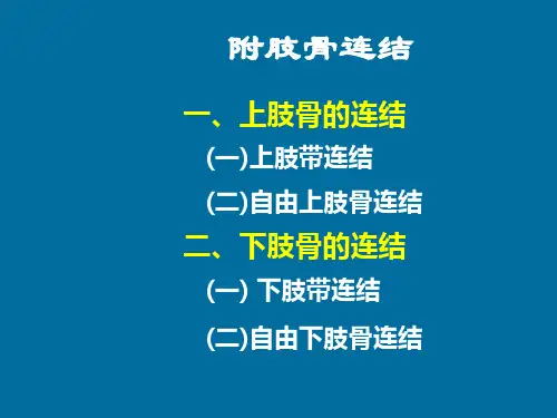5第五讲系统解剖学附肢骨连结