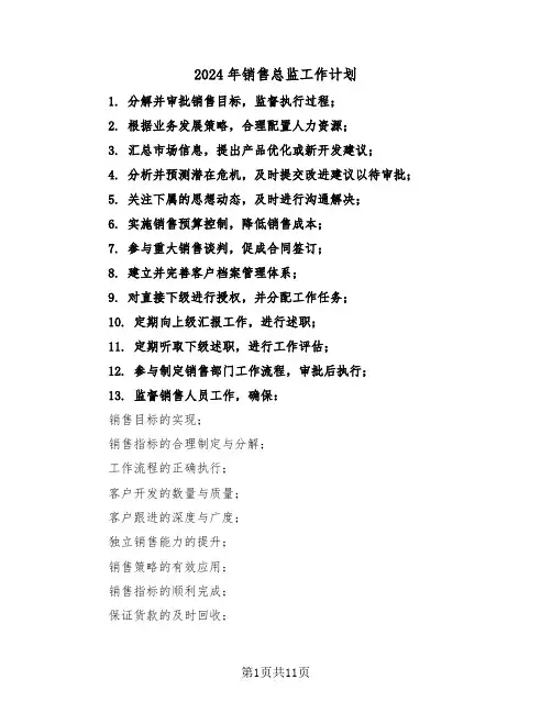 2024年销售总监工作计划（六篇）