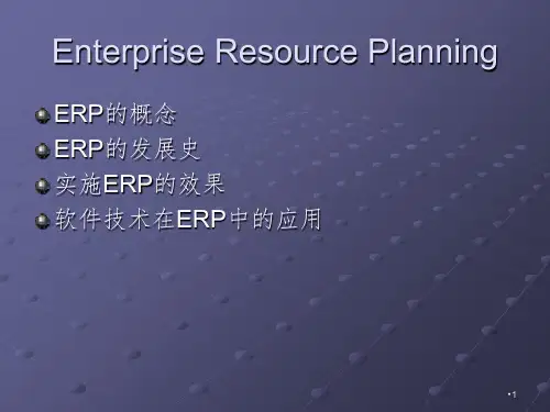 ERP的概念PPT演示课件