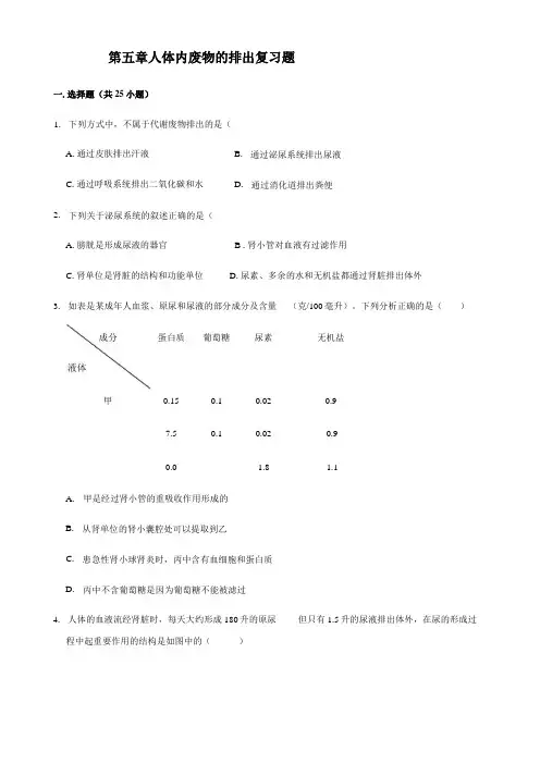 人教版生物七年级下册人体内废物的排出复习题含答案