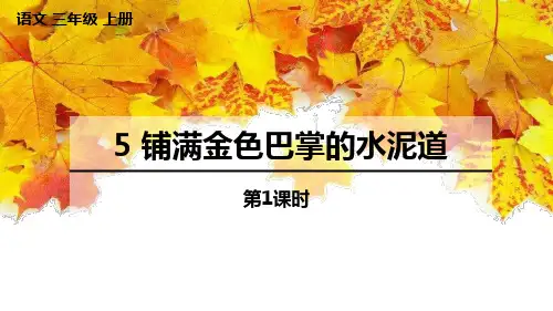 《铺满金色巴掌的水泥道》PPT教学课件