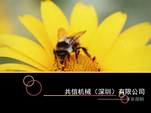事业部制实例