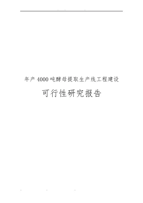 年产4000吨酵母提取生产线工程建设可行性实施报告