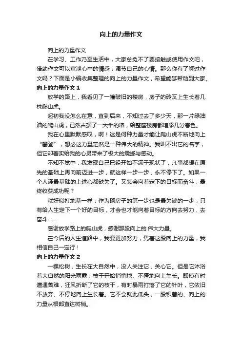 向上的力量作文