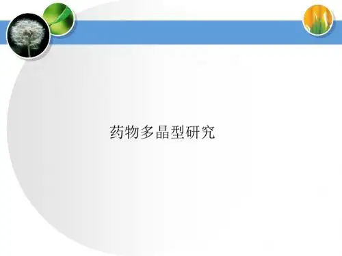 医药多晶型培训-PPT精品文档