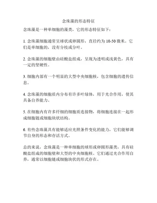 念珠藻的形态特征