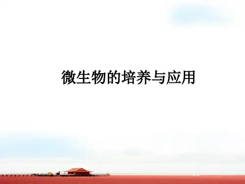 微生物的培养与应用(2课时)