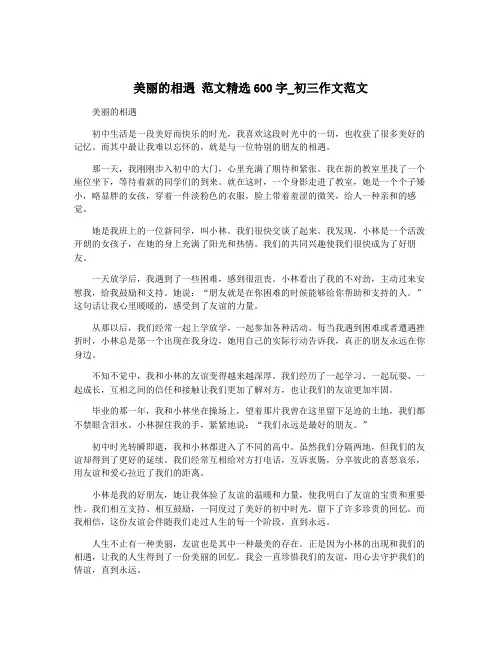 美丽的相遇 范文精选600字_初三作文范文