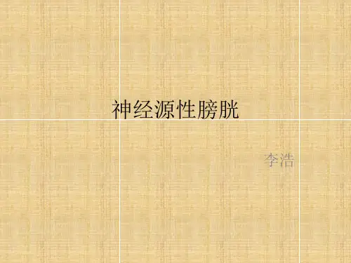 神经源性膀胱