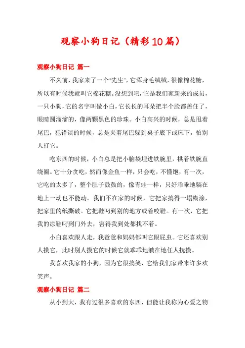 观察小狗日记(精彩10篇)
