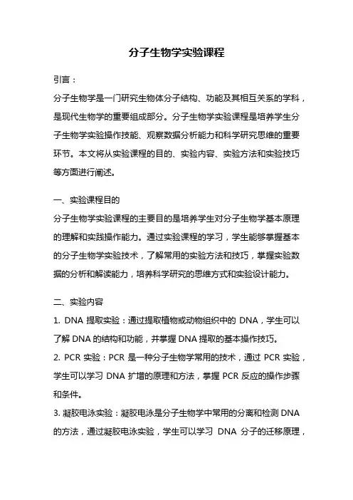 分子生物学实验课程