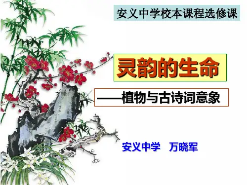 《灵韵的生命》植物与古诗词意象