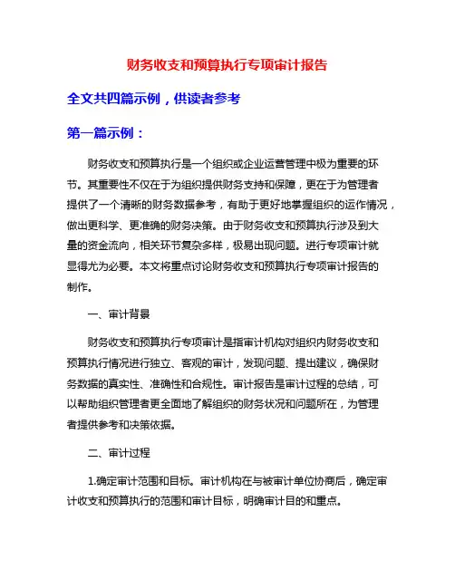 财务收支和预算执行专项审计报告