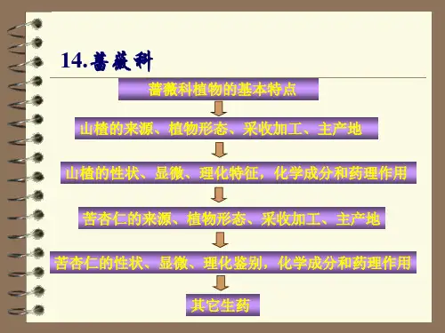 药用植物学与生药学课件14.蔷薇科