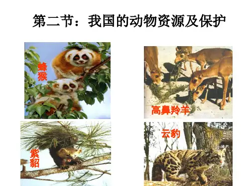 我国动物资源及保护1