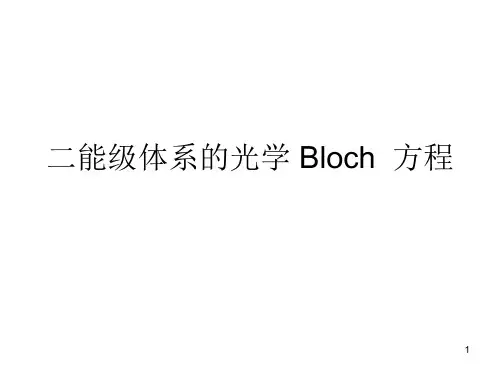 二能级体系的光学 Bloch  方程