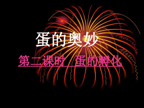 教科版三年级科学下册孵化技术(鸡孵化过程)课件PPT