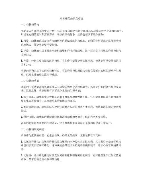 动脉相关知识点总结