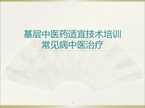 常见病中医治疗ppt课件