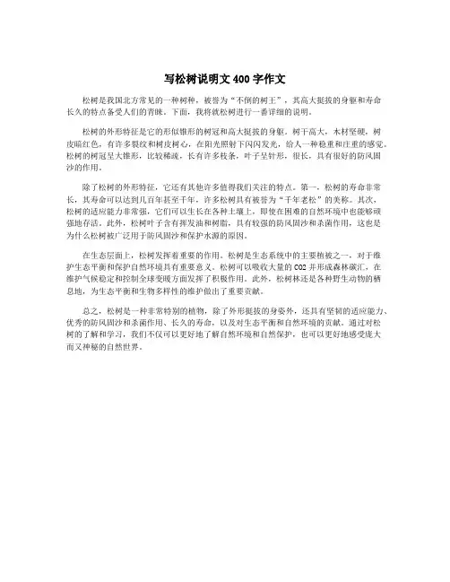 写松树说明文400字作文