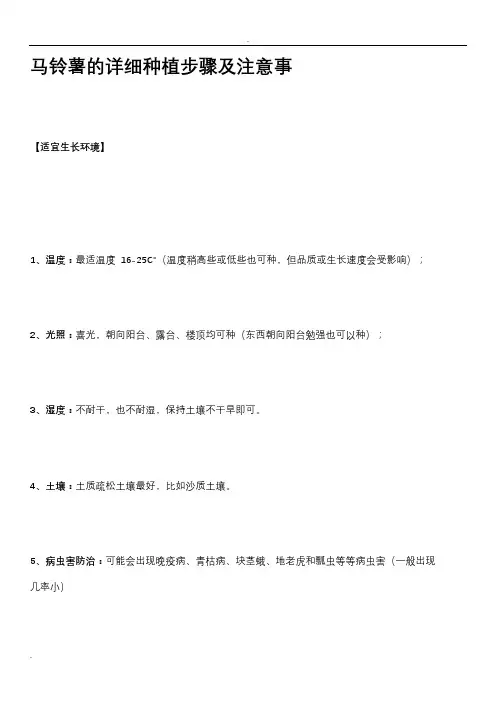 马铃薯的详细种植步骤及注意事