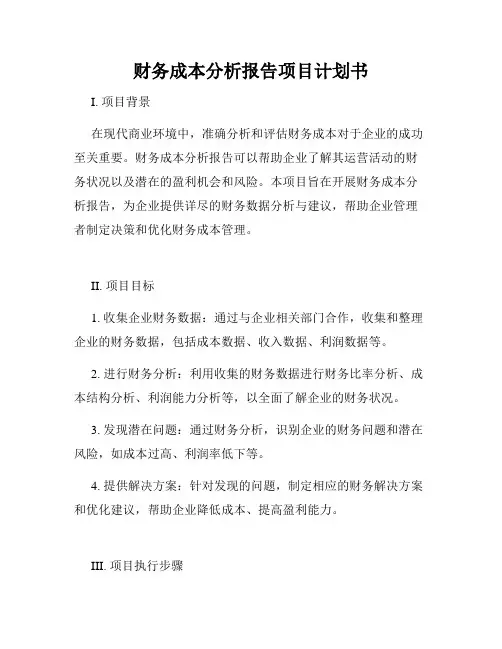 财务成本分析报告项目计划书