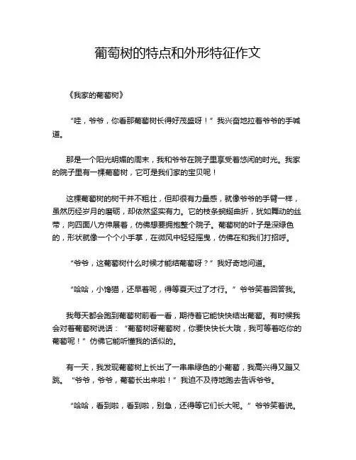 葡萄树的特点和外形特征作文
