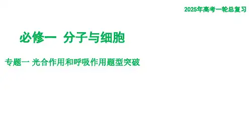 [原创]2025年高考一轮总复习生物 必修1 专题一 光合作用和呼吸作用题型突破[配套课件]