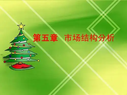 第五章  市场结构分析