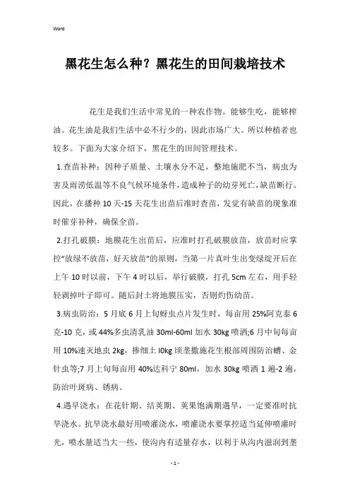 黑花生怎么种？黑花生的田间栽培技术 