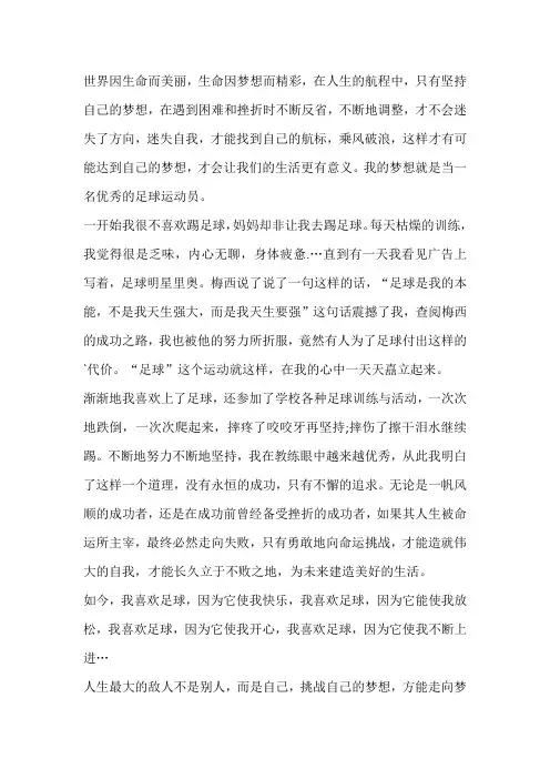 足球点燃梦想绿茵放飞梦想作文