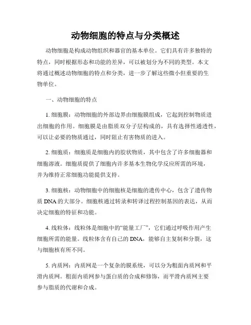 动物细胞的特点与分类概述