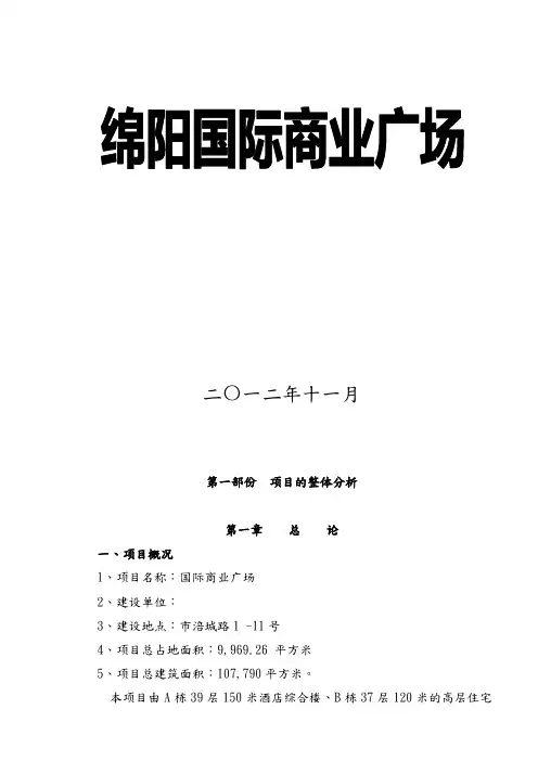 绵阳国际广场项目可行性实施计划书
