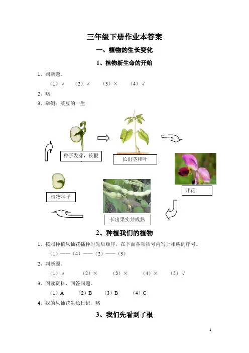 三年级下册科学作业本答案