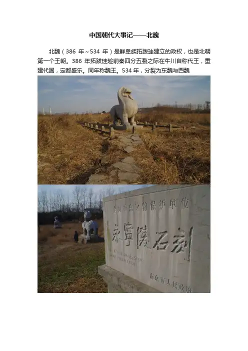 中国朝代大事记——北魏