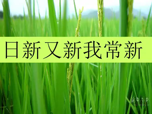 七年级思想品德上册 第五课《自我新期待》第一框课件 人教新课标版