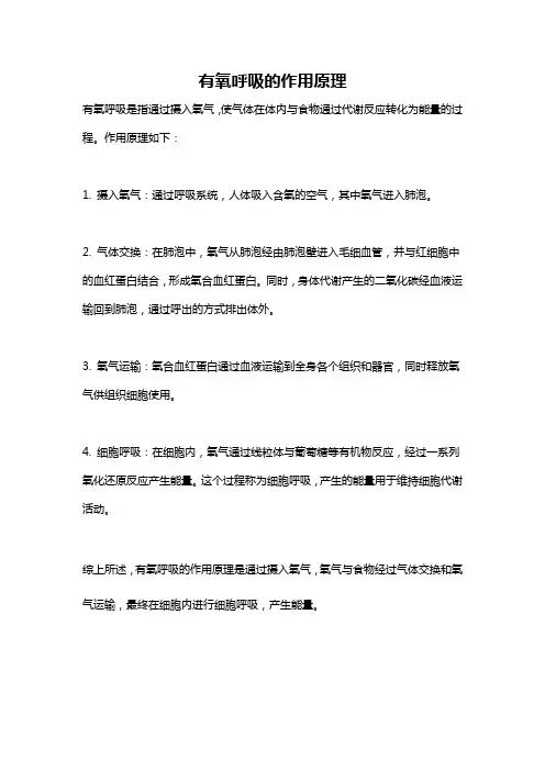 有氧呼吸的作用原理