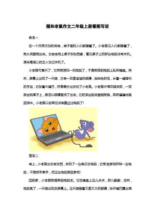 猫和老鼠作文二年级上册看图写话