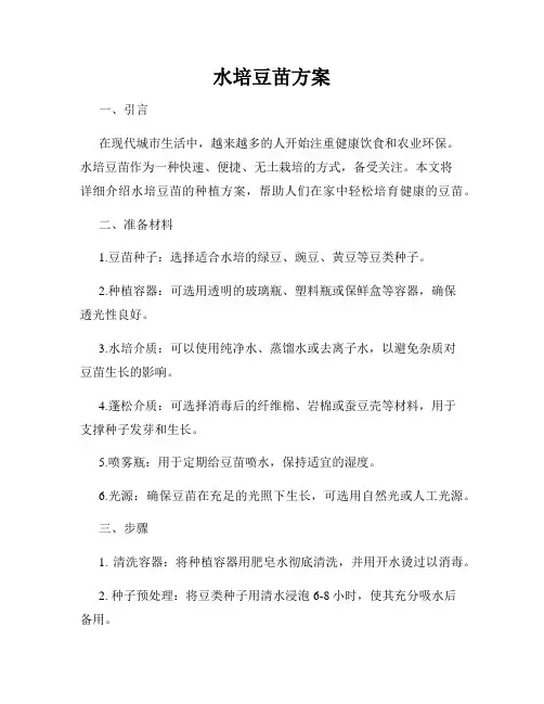 水培豆苗方案