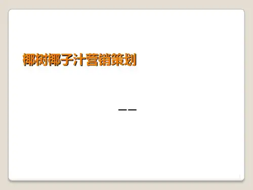 椰树椰子汁营销策划PPT课件