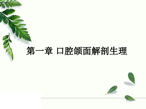第一章 口腔颌面解剖生理 PPT课件