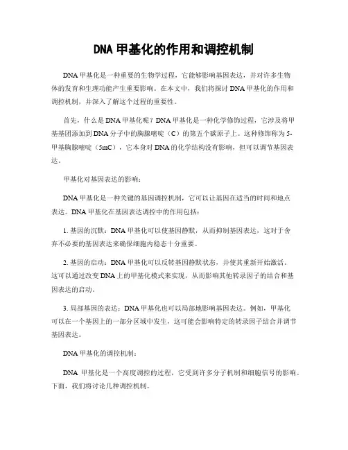 DNA甲基化的作用和调控机制
