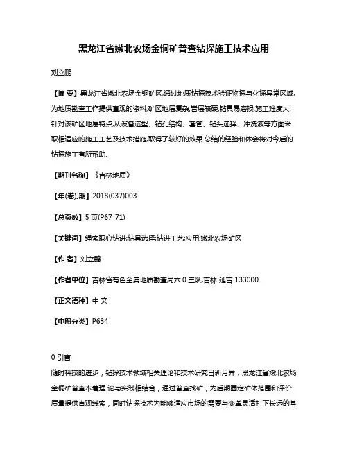 黑龙江省嫩北农场金铜矿普查钻探施工技术应用
