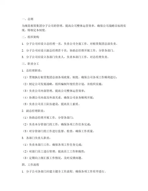 租赁集团分子公司管理制度
