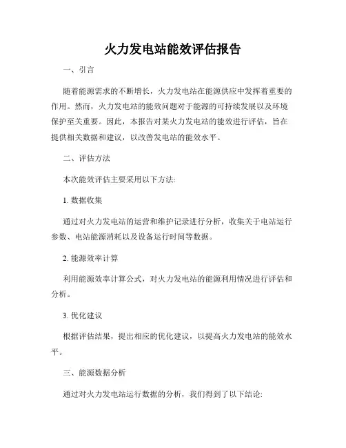 火力发电站能效评估报告